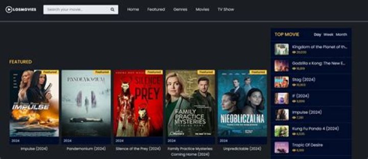 Best Practices for Safe and Fast Movie Streaming with LosMovies