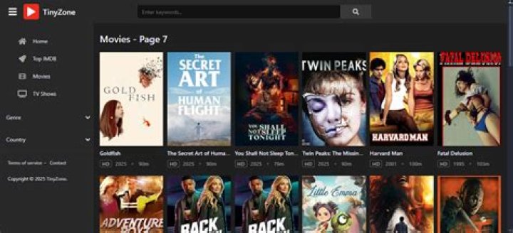 How to Stream Movies Safely and Seamlessly on TinyZone
