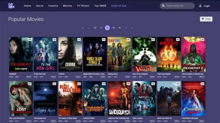 How to Stream Movies Safely and Quickly on MoviesJoy.to Without Ads