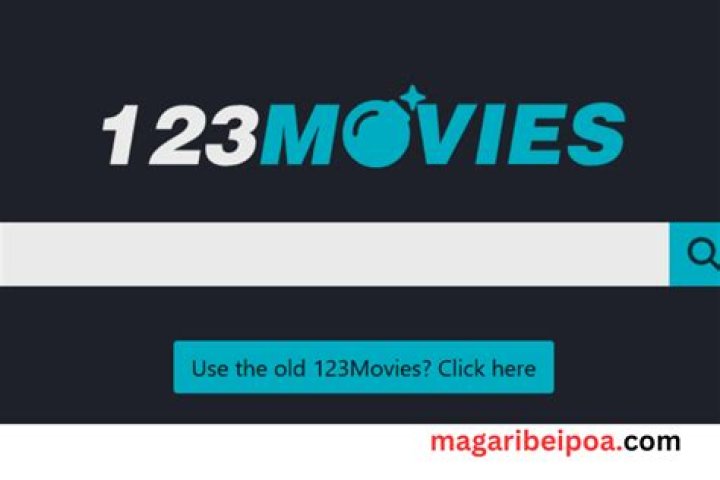 Troubleshooting Common Issues When Streaming on 123Movies.net