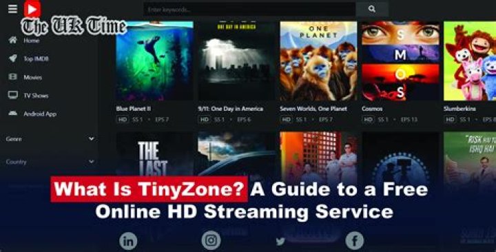 Ultimate Guide to Binge-Watching Series on TinyZone